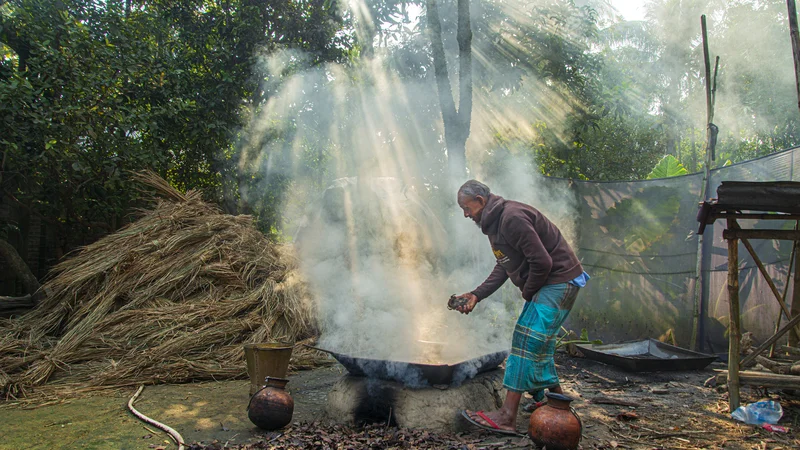১০০% খাঁটি গুড় ও গোখাদ্য কারখানা